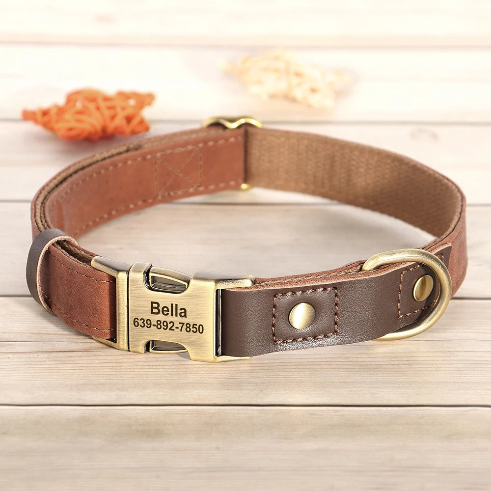 Pupluxe Signature Collar